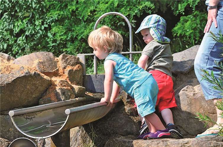 Wasserspielplatz und Pinguin, Seehund, Tiger u. Co 