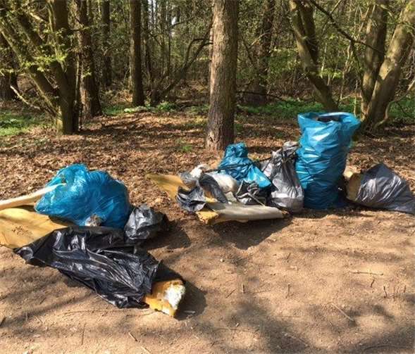 Anpacken für einen sauberen Wald 
