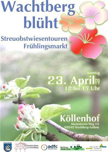 Wenn Wachtbergs Streuobstbäume blühen