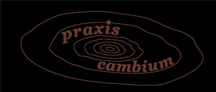 „Nichts ist so beständig wie die Veränderung“ 