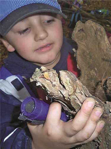 Waldwoche bei den „Kroko’s“ 