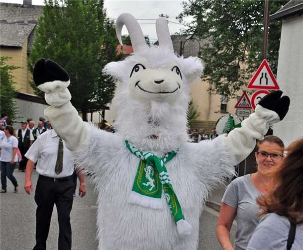 Gäse-Gaudi in Stromrisch 