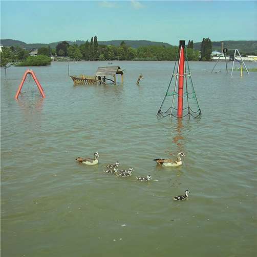 „Wo geht es hier zur Arche Noah?“ 