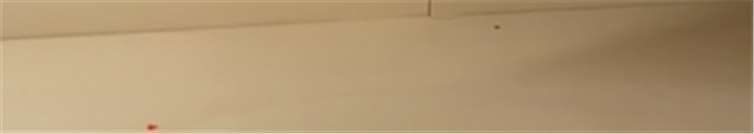 Kreative Köpfe in der Kunstwerkstatt 