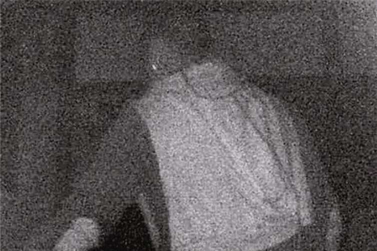 Einbrüche in Gartenlauben 