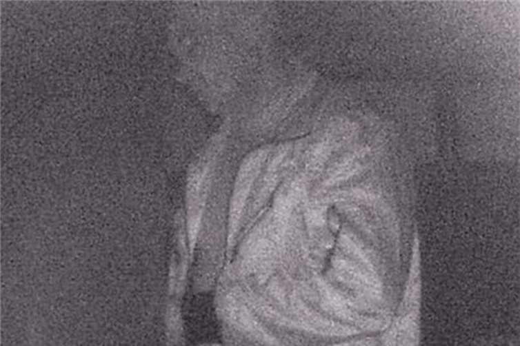 Einbrüche in Gartenlauben 