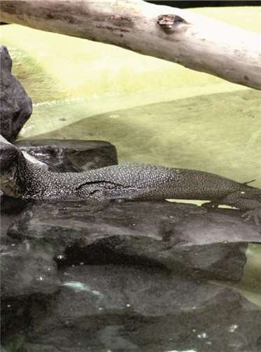 Zahlen Sie was Sie wollen!