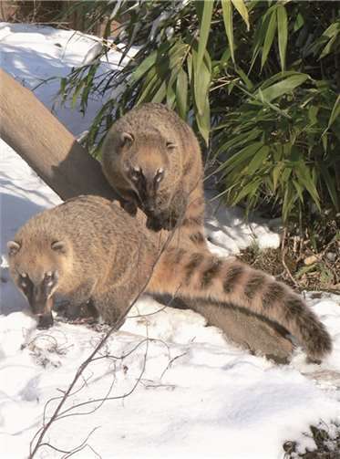 Zahlen Sie was Sie wollen! 