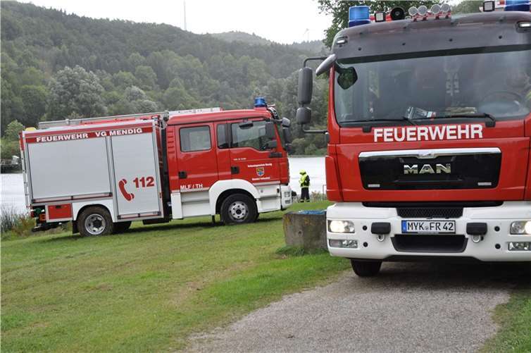 Auto stürzt in Waldsee 