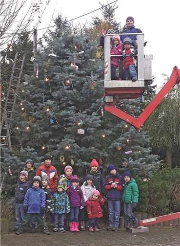 Aktion „Weihnachtsbaum“ ist gestartet 
