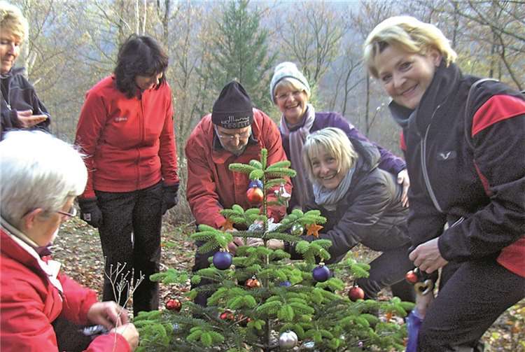 Weihnachtsbäumchen glänzend „verzaubert“ 