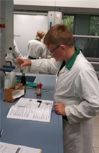 Junge Forscher untersuchen Lebensmittel 