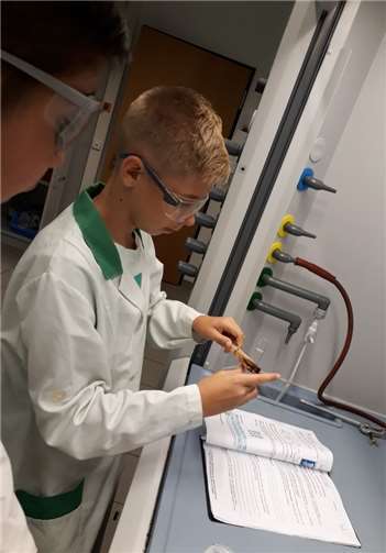 Junge Forscher untersuchen Lebensmittel 