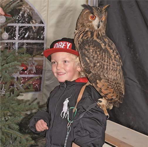 Vorweihnachtliche Stimmung, tierische Gäste und Schnee aus der Konserve 