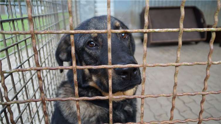 Tolle Schnäppchen und gutes Tun, dieses Motto stand im Vordergrund 