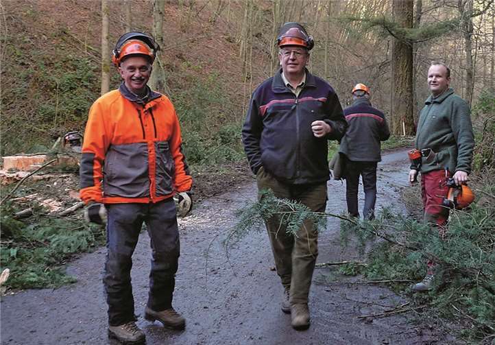 Kein freier Fall für Riesen-Douglasie