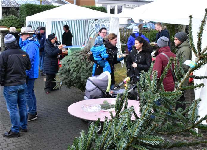 Christbäume wurden versteigert 