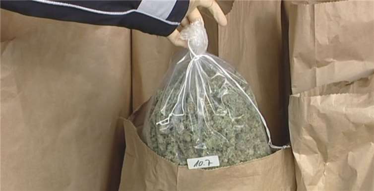 Indoor-Anlage zur Aufzucht von Cannabispflanzen ausgehoben  