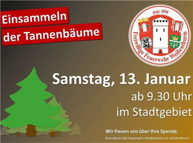 Einsammeln der Tannenbäume