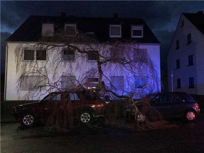 Sturm zieht über Rheinland-Pfalz hinweg 
