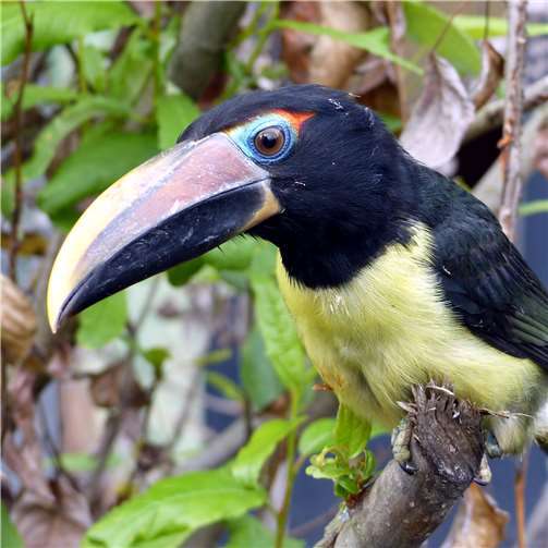 Von neuen Tieren, Nachwuchs und baulichen Veränderungen 