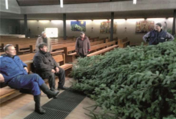 Wie kommen eigentlich die Weihnachtsbäume in die Kirche? 