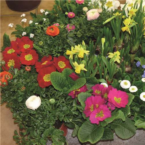 Frühlingshaftes Einkaufserlebnis mit vielen attraktiven Angeboten