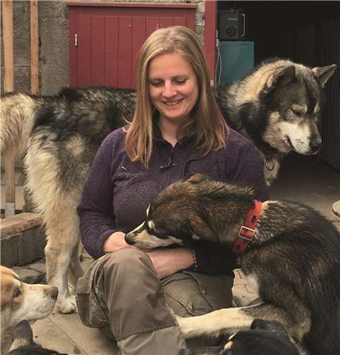 Eine Hundeschlittenfahrt durch die herrliche Landschaft der Region 