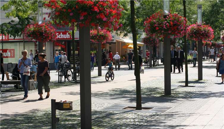 Lust auf Frühling? Blühende Hingucker, die gute Laune machen 