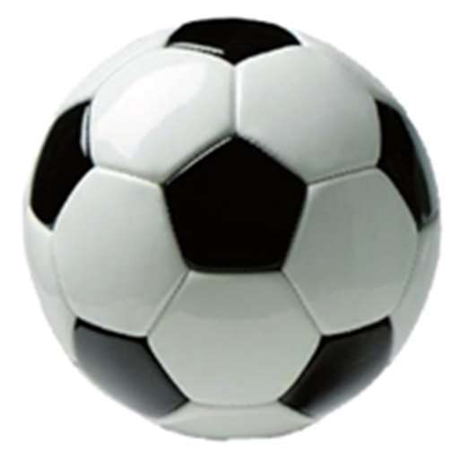 Spieler und Spielerinnen im Jugendbereich gesucht! 