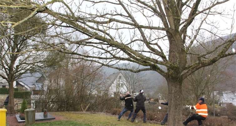 Umwelt- und Aktionstag 