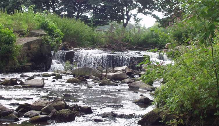 Erlebnisraum Nette beim „Tag des Wassers“ erforscht 