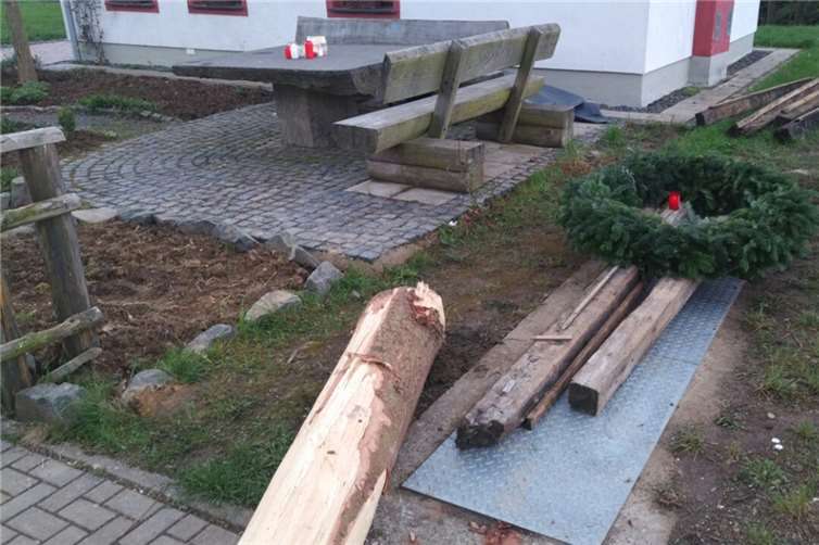 15-Jähriger durch Stamm tödlich verletzt 