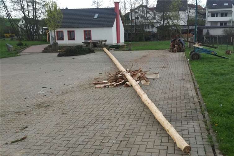 15-Jähriger durch Stamm tödlich verletzt 