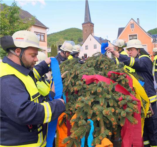 Der Mai ist gekommen – die Bäume stehen fest! 