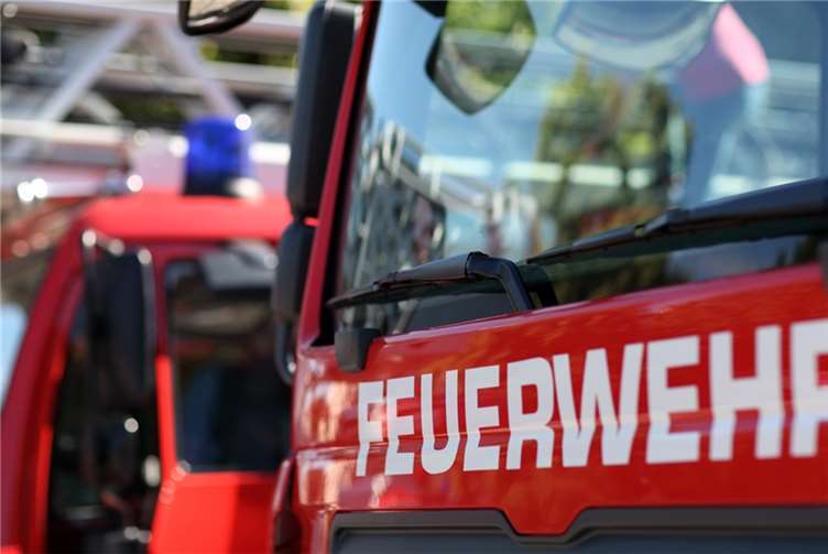 Heckenbrand auf Brachgelände