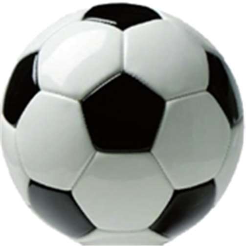 F-Junioren/innen waren erfolgreich 