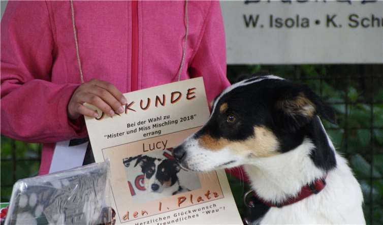 Gewinner bei Mister und Misses Mischling 2018 sind Lucky und Lucy 
