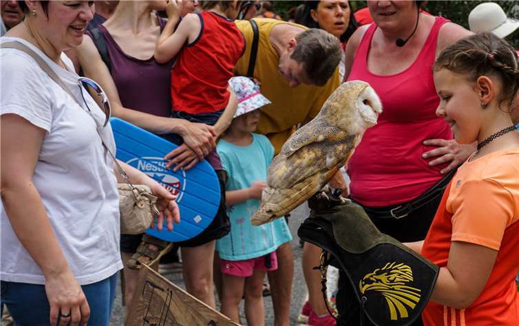 Wanderer zogen von Mühle zu Mühle 