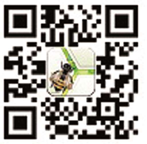 Die App für Bienenfreunde 