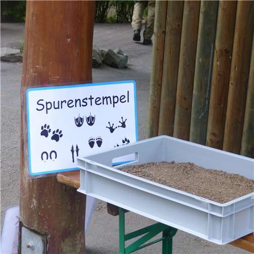 Dreamnight für kranke Kinder 