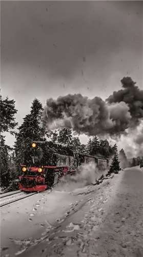 Erfolgreich beim Brocken-Challenge 