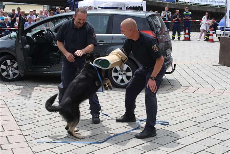 Polizei, Feuerwehr, DRK und THW im Einsatz 