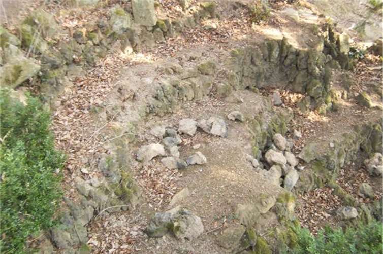 Großen Schaden am Adenauer Friedhof angerichtet 