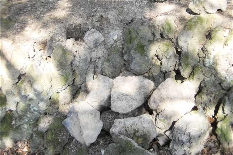 Großen Schaden am Adenauer Friedhof angerichtet 