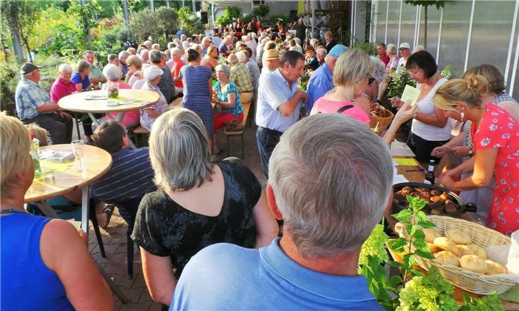 Blasmusik unter Palmen 