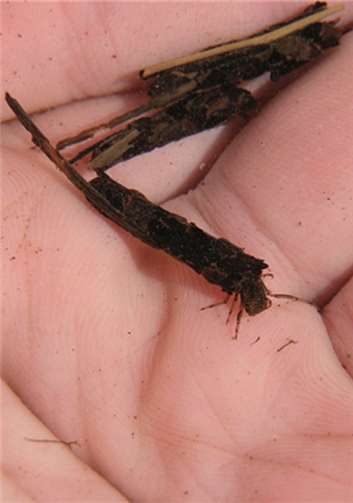 Vorstand wurde wiedergewählt 