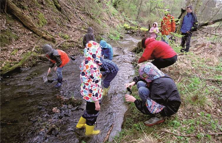 Vorstand wurde wiedergewählt 