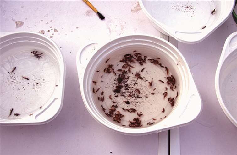 Vorstand wurde wiedergewählt 