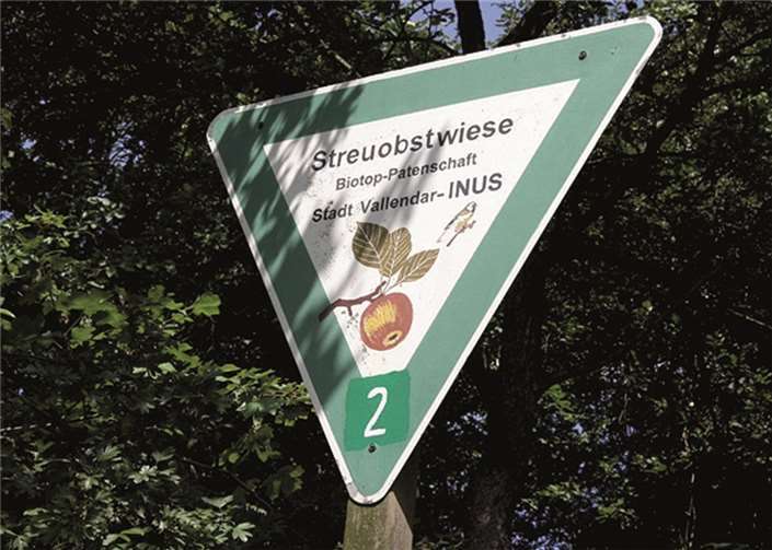 Vorstand wurde wiedergewählt 